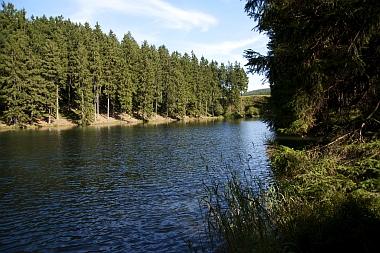 Mittlerer Grumbacher Teich (2) Oberharzer Wasserwirtschaft Bilder